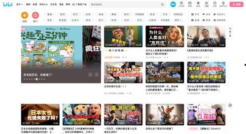 最新国产网站,创新驱动，引领行业未来